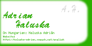 adrian haluska business card